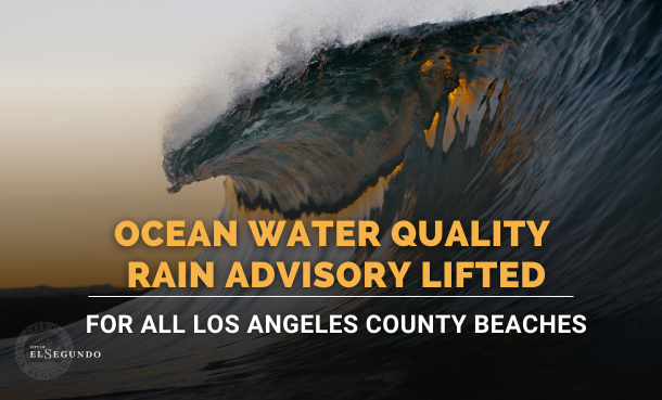 _Ocean Rain for Website